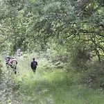 Pallozas Turisticas Ridicodias - A Pedra *