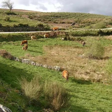 דירה Pallozas Turisticas Ridicodias - A Pedra *