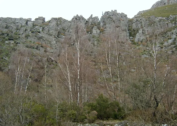 Pallozas Turisticas Ridicodias - A Pedra